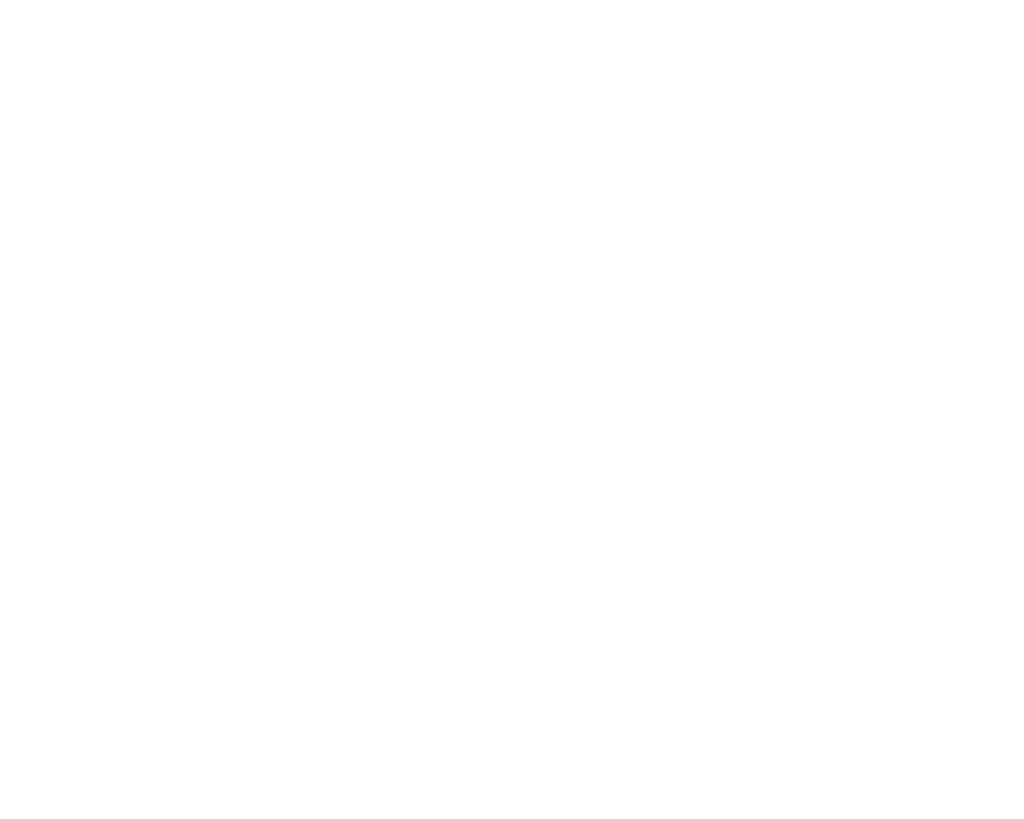 Wanderwolf Studios